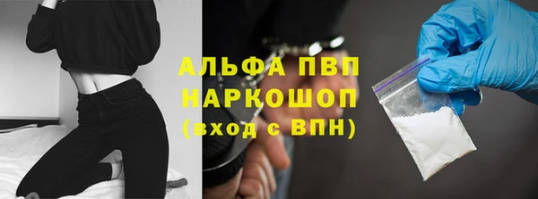 молекула духа Вязьма