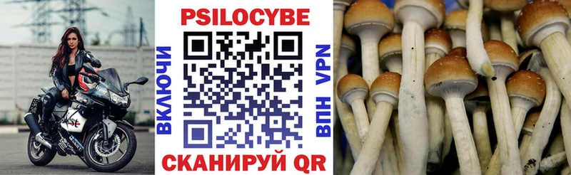 Галлюциногенные грибы прущие грибы  мориарти телеграм  Туймазы 